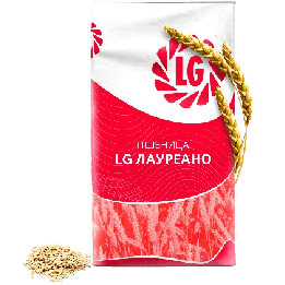LG Orlice / ЛГ Орліс