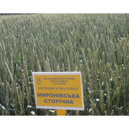 Миронівська сторічна