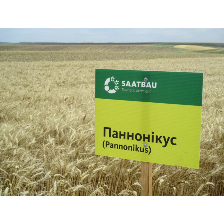 Pannonikus / Паннонікус