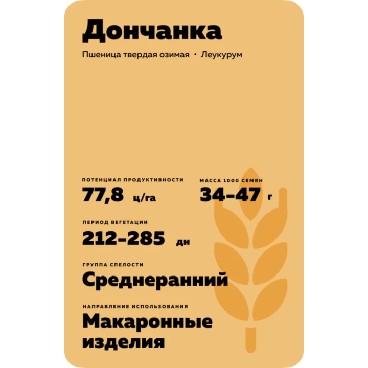 Дончанка 3