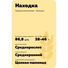 Находка 4