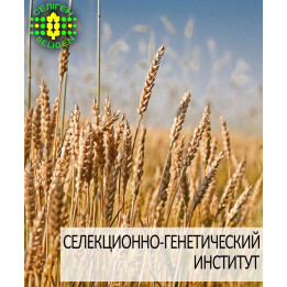 Одесская 265 / Одеська 265