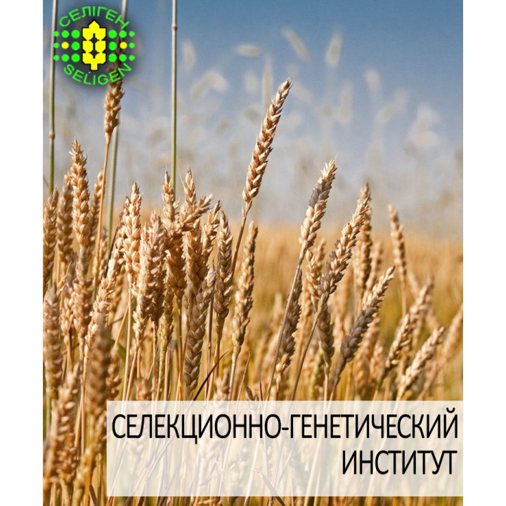 Одесская 265 / Одеська 265