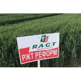 RGT Premiant / РЖТ Преміант