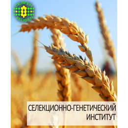 СГІ 100