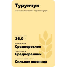 Турунчук