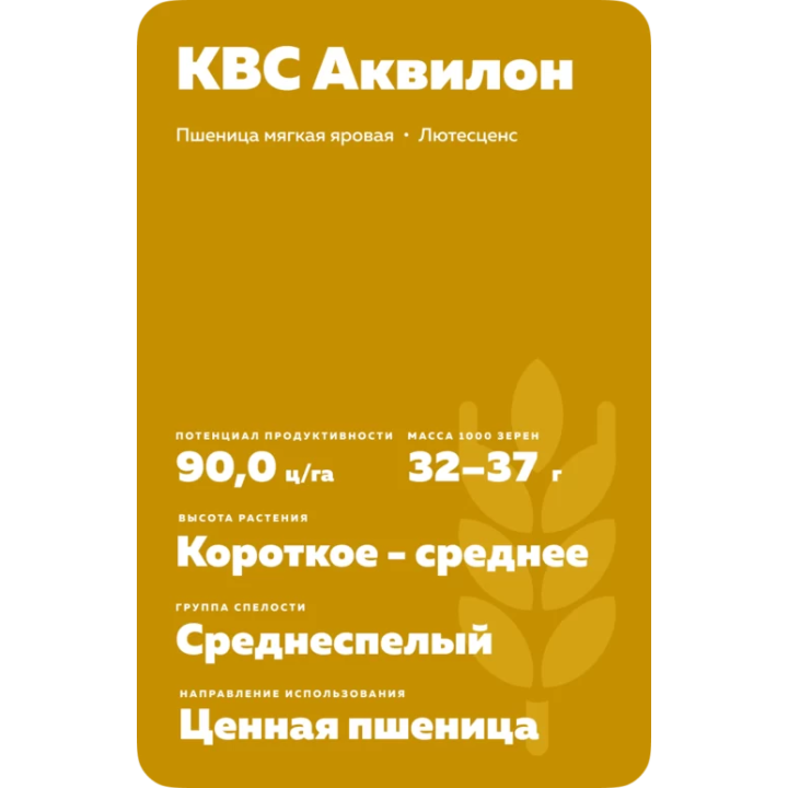 KWS Akvilon / КВС Аквілон