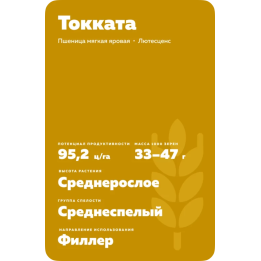 Toccata / Токата