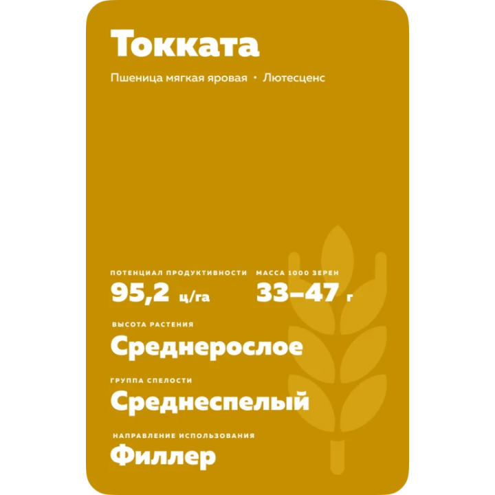 Toccata / Токата