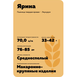 Ярина
