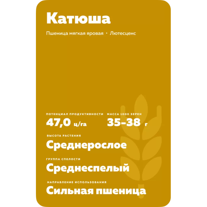 Катюша
