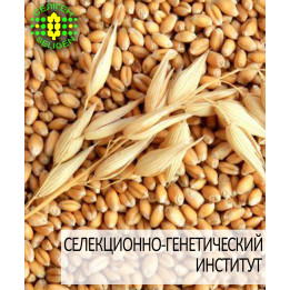 Золоте руно