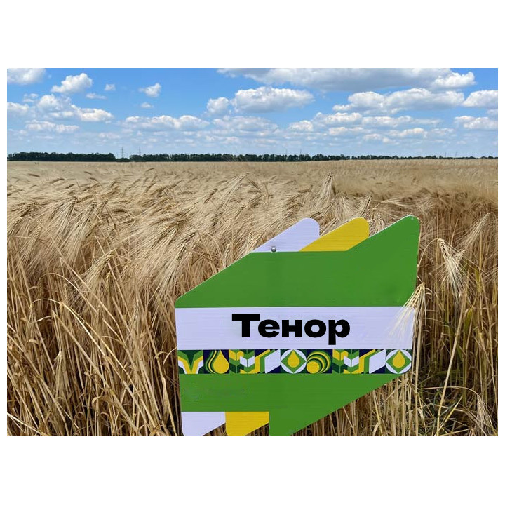 KWS Tenor / КВС Тенор