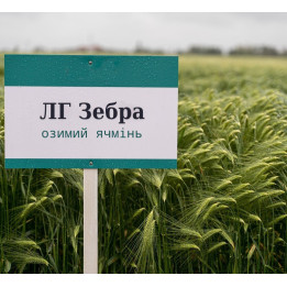 LG Zebra / ЛГ Зебра