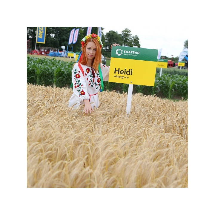 Heidi / Хайді
