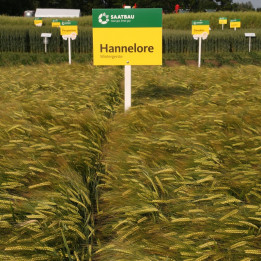 Hannelore / Ханнелоре