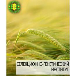Айвенго
