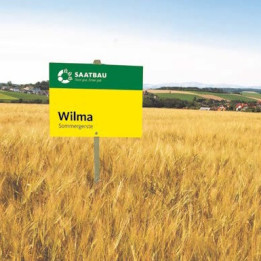 Wilma / Вільма