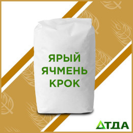 Крок