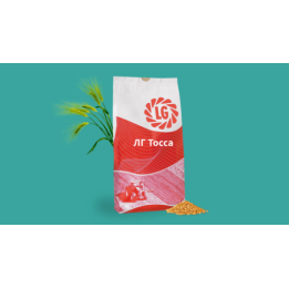 LG Tosca / ЛГ Тосса