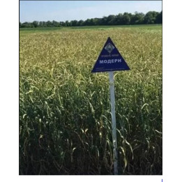 Модерн
