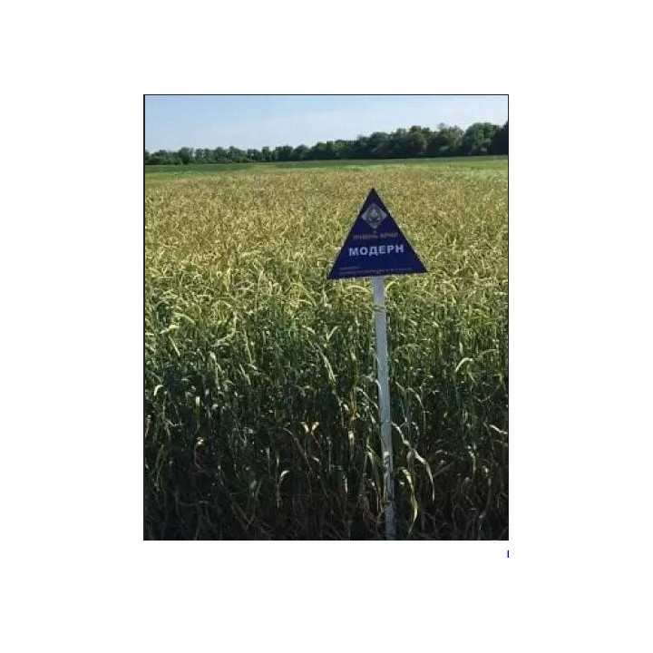 Модерн