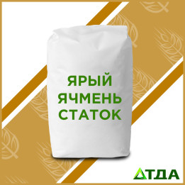 Статок