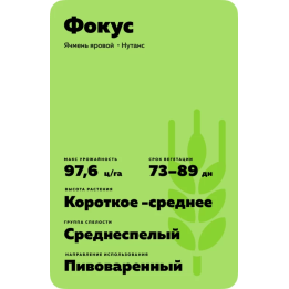 Focus / Фокус