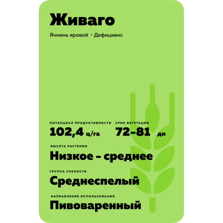Schiwago / Шиваго