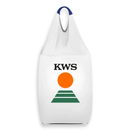 KWS Amadora / КВС Амадора