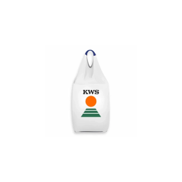 KWS Asta / КВС Аста