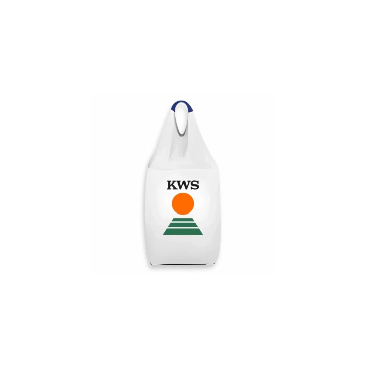KWS Asta / КВС Аста
