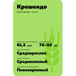 Crescendo / Крешендо