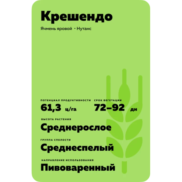 Crescendo / Крешендо
