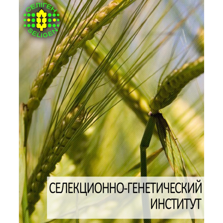 Одесский 115 / Одеський 115
