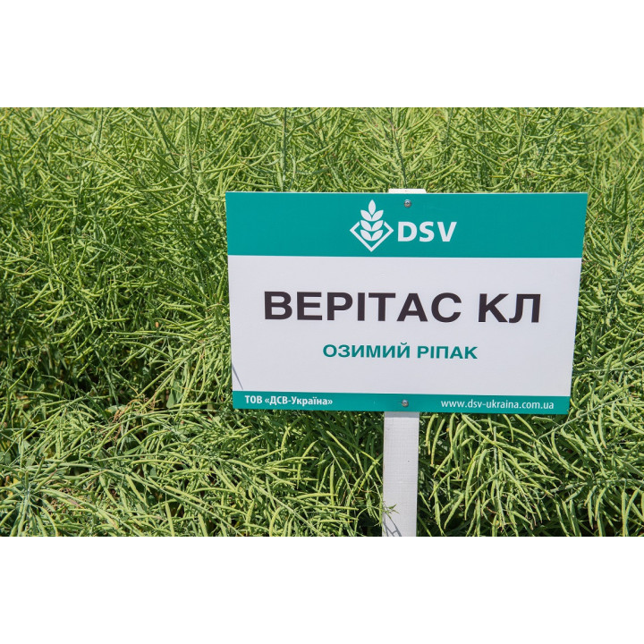 Veritas CL / Верітас КЛ