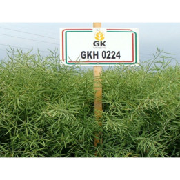GKH 0224 / ГКХ 0224