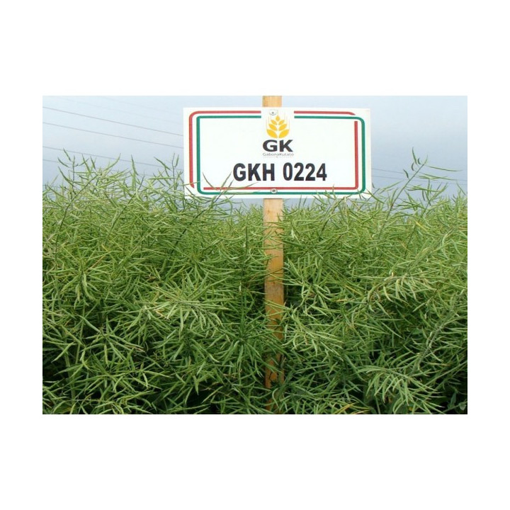 GKH 0224 / ГКХ 0224