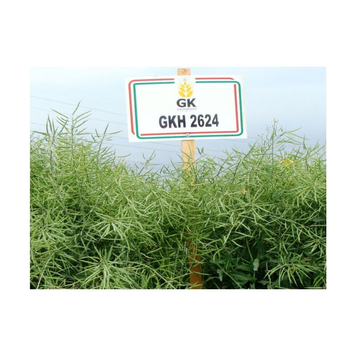 GKH 2624 / ГКХ 2624