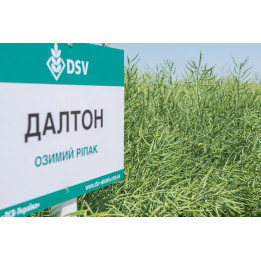 Dalton / Далтон