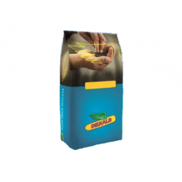 DK Exprit / ДК Експріт
