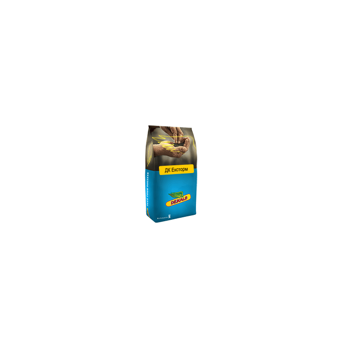 DK Exstorm / ДК Ексторм