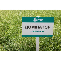 Dominator / Домінатор