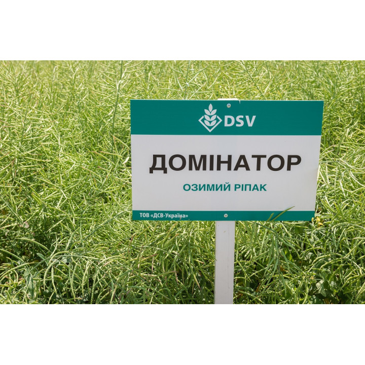 Dominator / Домінатор