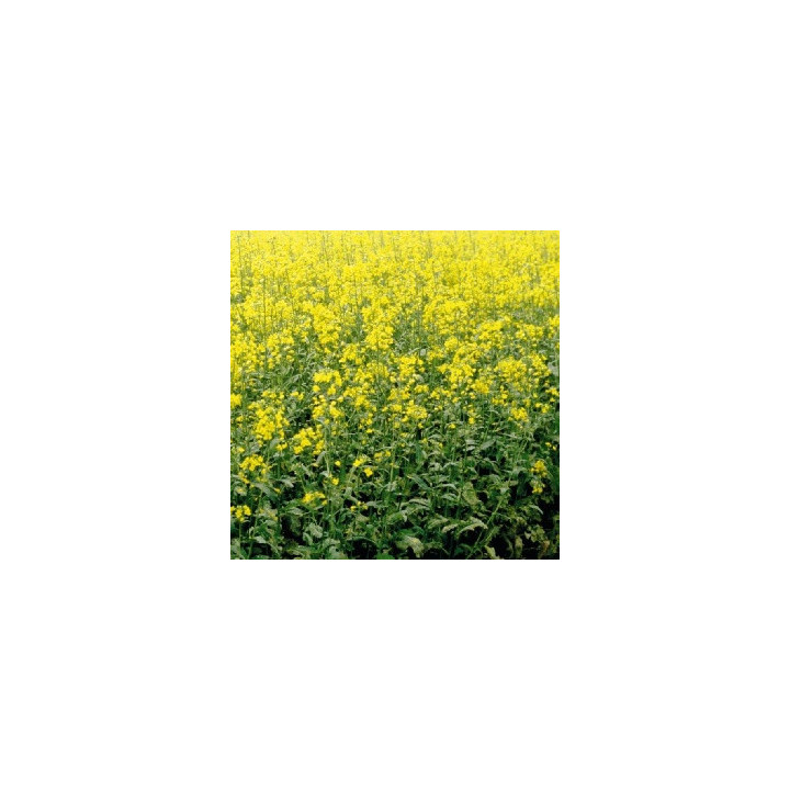 INV1024 / ІНВ1024