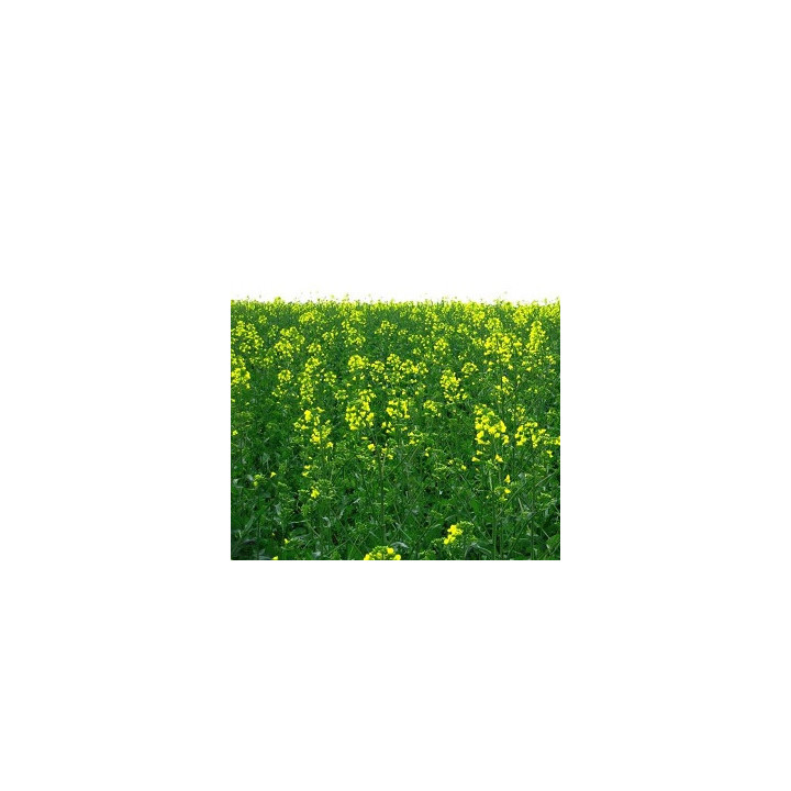 INV1188 / ІНВ1188