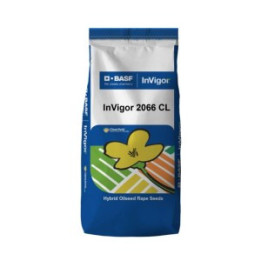 Invigor2066 CL / Інвігор2066 КЛ