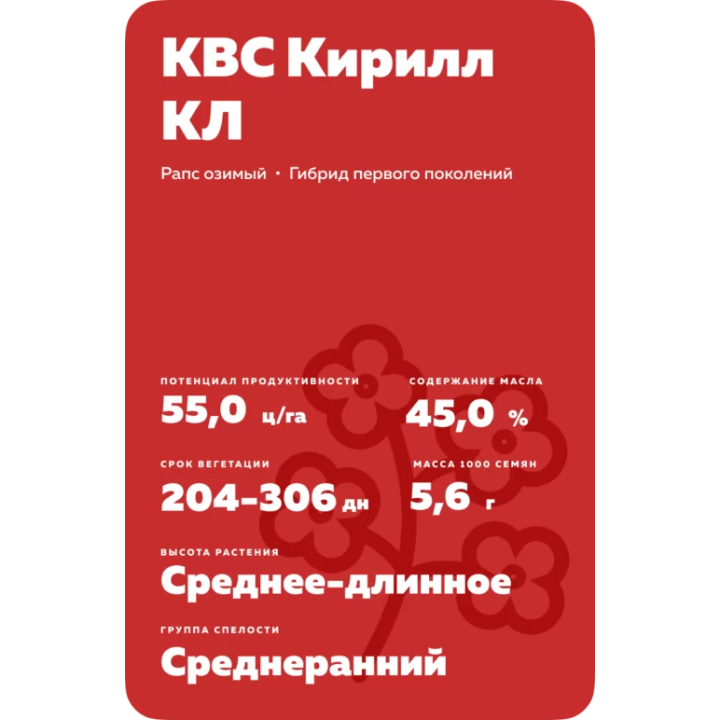 KWS CYRILL CL / КВС КИРИЛ КЛ