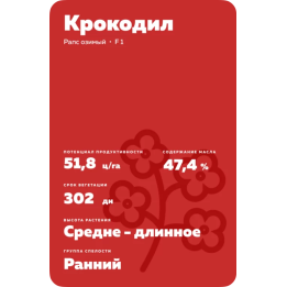 Crocodile / Крокодил
