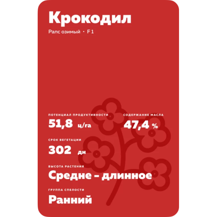 Crocodile / Крокодил